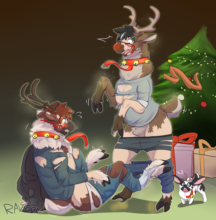 absurd_res antlers bell bent_legs black_hair blue_bottomwear blue_clothing blue_eyes blue_jeans blue_pants blue_shirt blue_topwear blush blush_lines bodily_fluids bottomwear brown_body brown_eyes brown_fur brown_hair capreoline christmas christmas_lights christmas_ornament christmas_tree clothed clothing collar deer denim denim_clothing duo eyewear falling feral fluffy fur gift glasses glowing glowing_nose gradient_background grey_clothing grey_jacket grey_shirt grey_topwear grey_underwear hair hi_res holidays hooves horn human jacket jeans jingle_bell jingle_bell_collar lagomorph leporid lights magic male mammal mid_transformation neck_tuft on_bottom open_mouth orange_scarf ornament pants plant pockets rabbit ravieel reindeer scarf shirt simple_background sitting snout sparkles species_transformation standing surprise surprised_expression sweat teeth topwear transformation transformation_through_magic tree tuft underwear white_clothing white_underwear