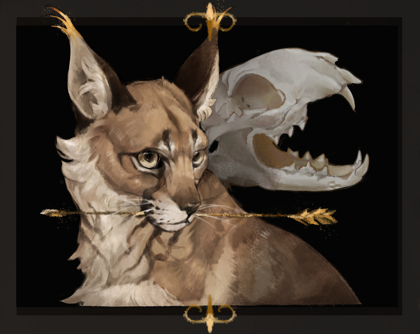 abouteang absurd_res ambiguous_gender arrow_(weapon) bone brown_body brown_fur caracal caracal_(genus) countershade_fur countershading felid feline feral fur hi_res inner_ear_fluff mammal mouth_hold ranged_weapon skull solo tuft weapon