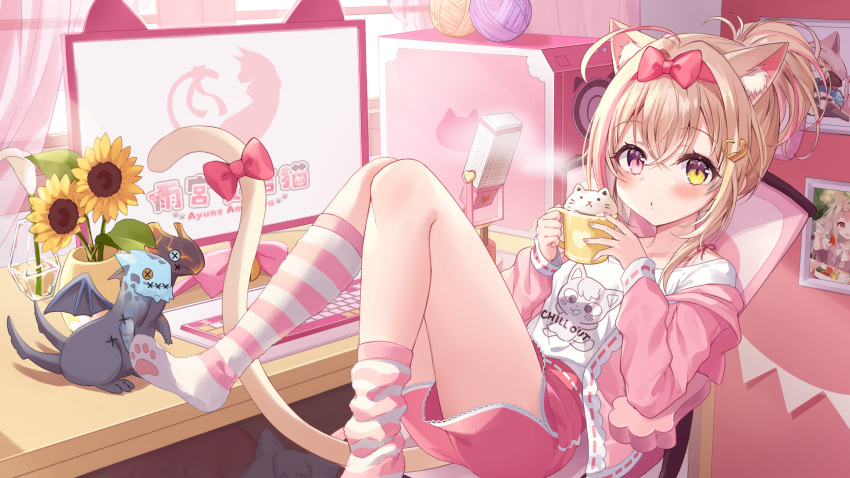 1girl amemiya_ayune animal_ears blonde_hair cat_ears cat_girl cat_tail chair computer cup flower heterochromia highres hood hood_down hoodie indie_virtual_youtuber keyboard_(computer) medium_hair monitor mug multicolored_hair off_shoulder open_clothes open_hoodie paw_print_soles picture_(object) pink_eyes pink_hair pink_hoodie pink_shorts piyoyanagi plant ponytail potted_plant shirt shorts sitting socks steam streaked_hair striped striped_socks sunflower tail two-tone_hair virtual_youtuber white_shirt yarn yarn_ball yellow_eyes