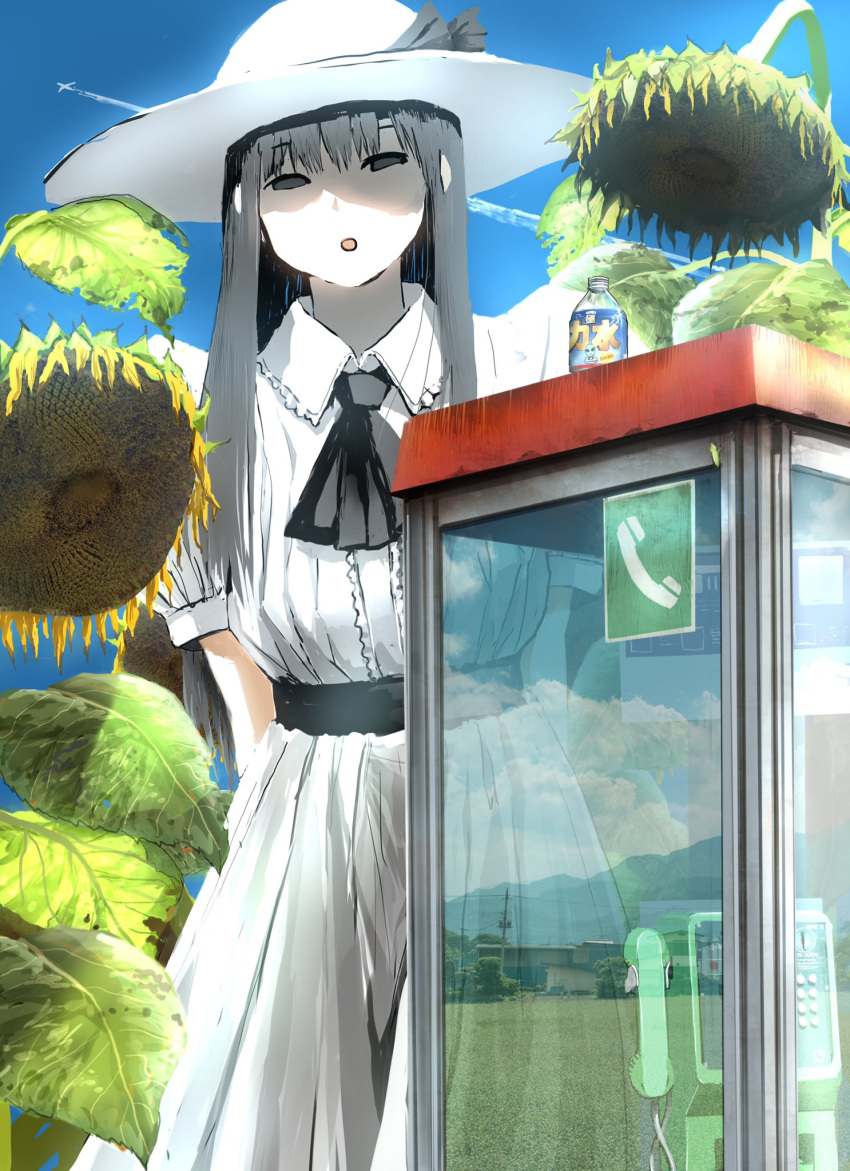 1girl 2ch :o aircraft airplane arms_behind_back ascot bangs belt black_ascot black_belt black_eyes black_hair black_ribbon blue_sky bottle breasts cloud collared_dress contrail day dress field flower frilled_dress frills giba_ryan half-closed_eyes hasshaku-sama hat hat_ribbon highres house large_breasts leaf leaning_to_the_side long_hair looking_at_viewer mountainous_horizon open_mouth outdoors pale_skin phone phone_booth photo_inset plant puffy_short_sleeves puffy_sleeves reflection ribbon rural shaded_face short_sleeves sky solo sun_hat sundress sunflower tall_female water_bottle white_dress white_headwear wilted_flower