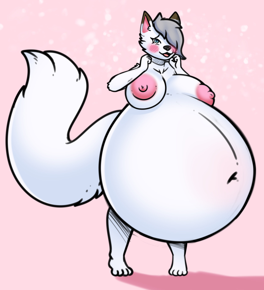 absurd_res anthro arctic_fox belly belly_inflation big_belly bloated blush canid canine drokmars female flustered fox hi_res hyper hyper_belly inflation liquid_inflation mammal nude solo sophie_(xausr32) swollen_breasts