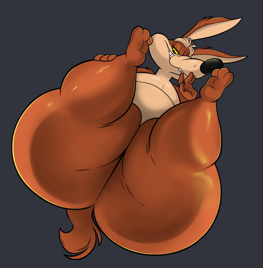 absurd_res anthro big_butt brown_body brown_fur butt canid canine canis chubby_anthro chubby_belly chubby_male coyote from_front_position fur heavy_bottom hi_res huge_butt huge_hips huge_thighs looking_down looking_pleasured looney_tunes low-angle_view male mammal pinup pose presenting presenting_hindquarters rear_view remmyfox sexy_eyes smile solo tan_body tan_fur thick_thighs warner_brothers wide_hips wile_e._coyote yellow_eyes