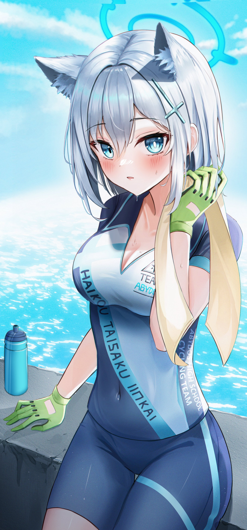 1girl absurdres animal_ear_fluff animal_ears bad_id bad_twitter_id bike_jersey bike_shorts blue_archive blue_eyes blue_shorts blue_sky bottle breasts cleavage closed_mouth cloud collarbone covered_navel cycling_uniform day extra_ears gloves green_gloves grey_hair hair_ornament hand_up highres holding holding_towel li_se looking_at_viewer mismatched_pupils ocean open_mouth outdoors revision shiroko_(blue_archive) shiroko_(cycling)_(blue_archive) short_hair short_sleeves shorts sitting sky small_breasts solo sportswear sweat towel water water_bottle wiping_sweat x_hair_ornament