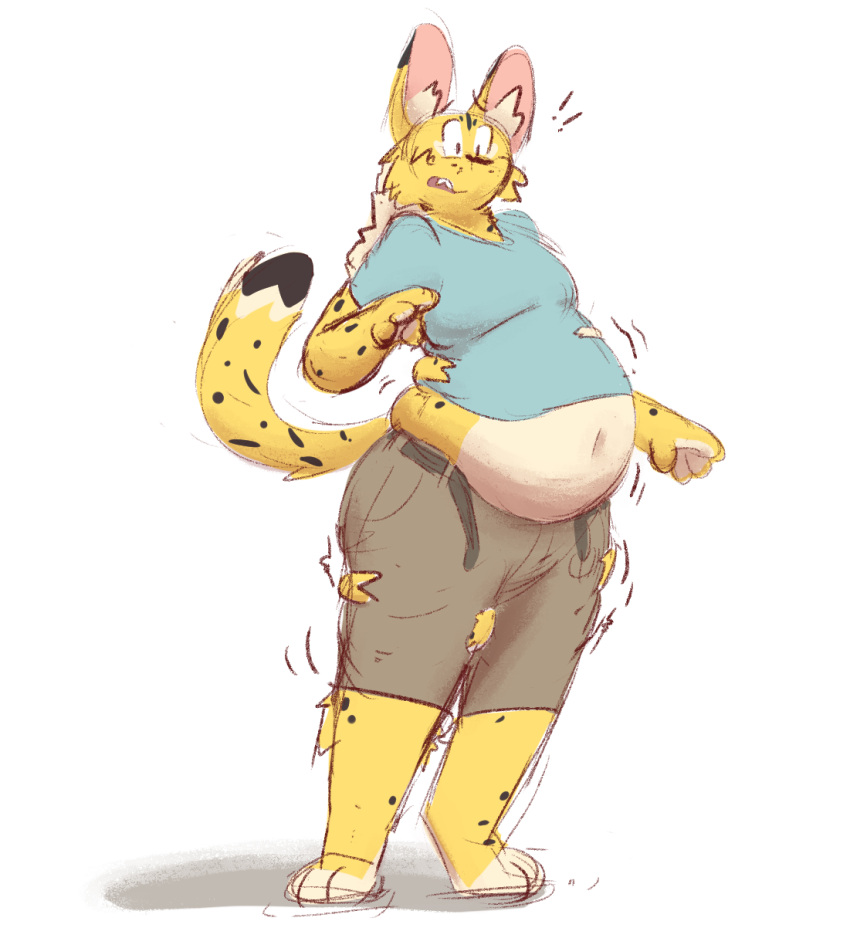 ambergate anthro belly belt big_belly clothing el expansion felid feline fluffy fur hi_res ineffective_clothing male mammal moobs overweight overweight_male serval simple_background solo spots spotted_body spotted_fur surprised_expression torn_clothing weight_gain yellow_body