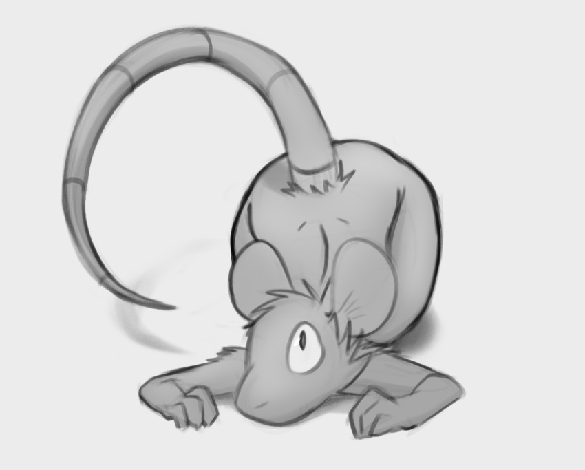 2022 ambiguous_gender anthro ass_up biped digital_media_(artwork) fur greyscale mammal monochrome murid murine nude rat rodent schmutzo simple_background solo tail white_background