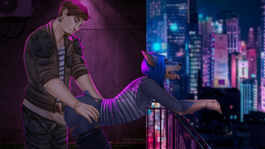 anthro anthro_penetrated balcony blue_hair bottomwear canid canine canis city clothed clothed_sex clothing cyberpunk_2077 dobermann domestic_dog duo female genitals hair human human_on_anthro human_penetrating human_penetrating_anthro interspecies male male/female mammal penetration penis pinscher sajophoe sex skyline topwear valerie_(certifiedhyena)