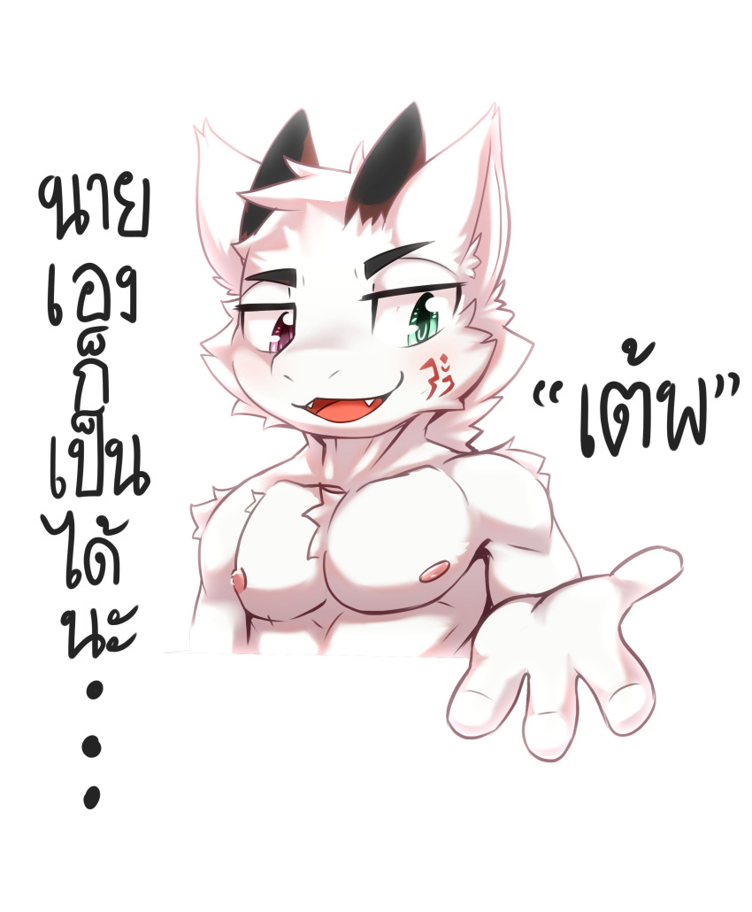 4_fingers absurd_res anthro black_horn blue_eyes bust_portrait cheek_tuft chest_tuft dragon facial_tuft fangs fingers front_view fur furred_dragon glistening glistening_eyes head_tuft heterochromia hi_res horn kewkungzn male muscular muscular_anthro muscular_male narrowed_eyes nipples nude open_mouth pecs pink_eyes portrait red_nipples red_tongue shoulder_tuft simple_background solo teeth text thai_text tongue translation_request tuft white_background white_body white_fur