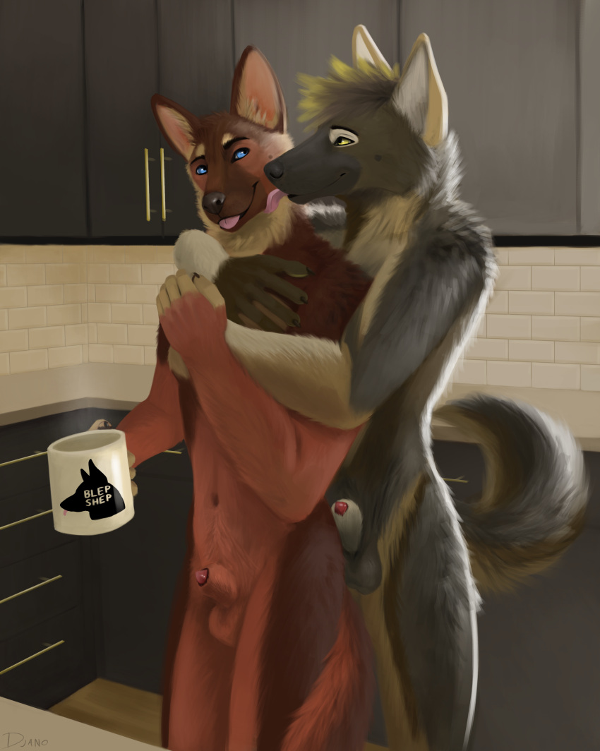 absurd_res animal_genitalia animal_penis anthro balls blep canid canine canine_penis canis coffee_mug djano domestic_dog duo embrace fur genitals german_shepherd herding_dog hi_res hug hugging_from_behind kitchen licking male male/male mammal navel nude pastoral_dog penis penis_tip sheath tongue tongue_out