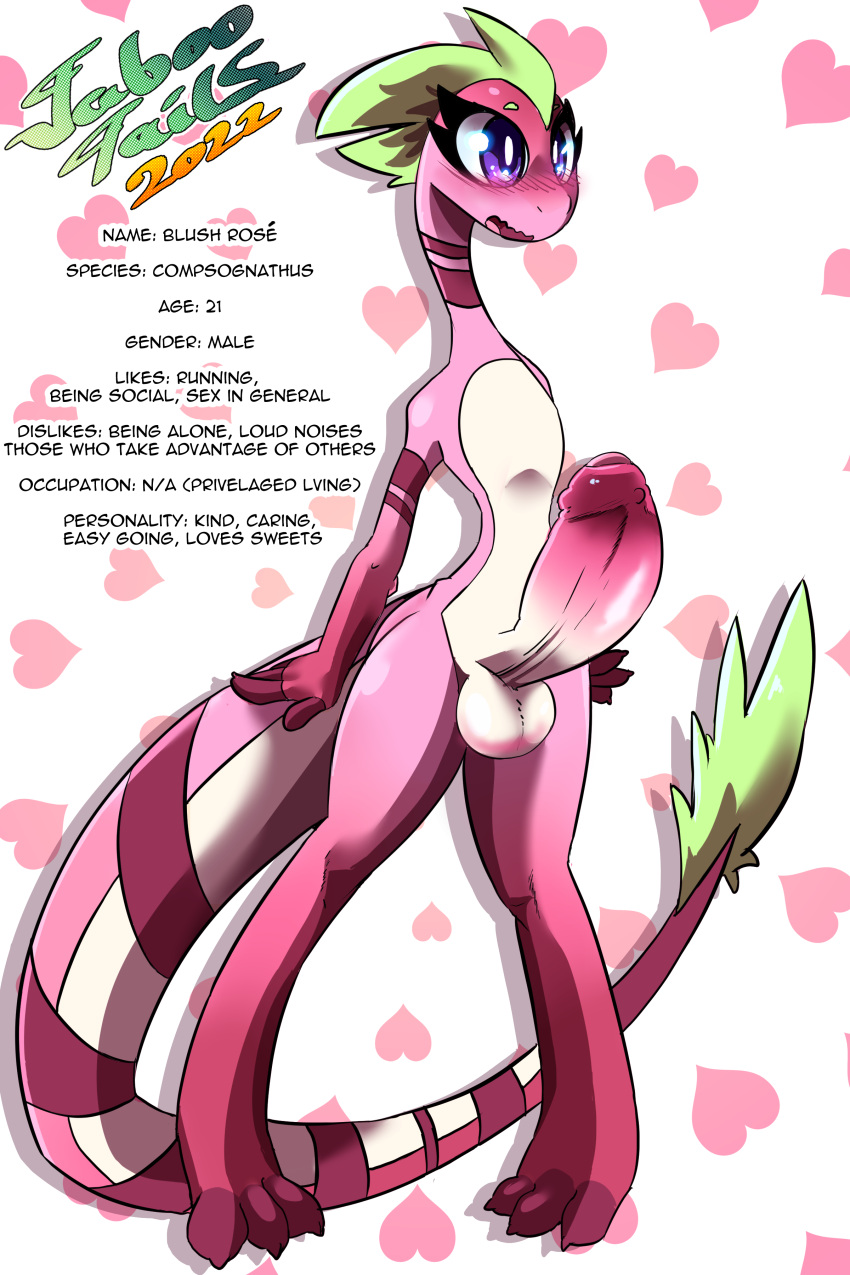 2:3 absurd_res anthro balls big_penis blush blush_ros&eacute;_(taboo_tails) colored compsognathid compsognathus dinosaur english_text feathered_dinosaur feathers genitals hi_res huge_penis hyper hyper_genitalia hyper_penis male penis rendered reptile scalie solo taboo_tails_(copyright) text theropod white_crest_(artist)
