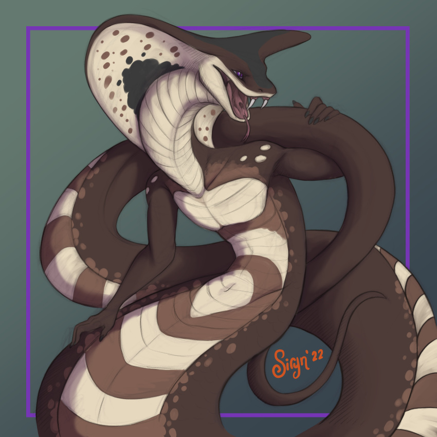 1:1 absurd_res anthro apode brown_body brown_scales cobra draconcopode fangs fangs_bared genitals hi_res holding_tail legless male naga navel open_mouth pose pupils purple_eyes reptile roran_(slaya4900) scales scalie serpentine sirynjourney sketch slit_pupils snake snake_hood solo spots tail teeth tongue tongue_out