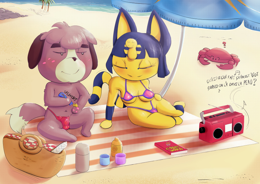 absurd_res animal_crossing ankha_(animal_crossing) anthro beach big_breasts bikini blush breasts bulge canid canine canis clothing detailed_bulge digby_(animal_crossing) domestic_cat domestic_dog duo eyes_closed felid feline felis female french_text hi_res lecerf male male/female mammal nintendo paws question_mark radio seaside sitting smile swimwear text thong underwear