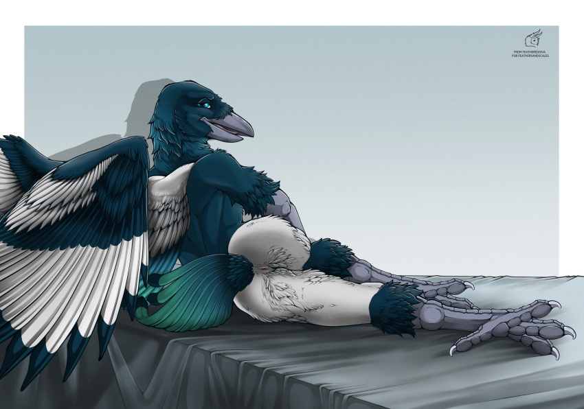2022 animal_humanoid anthro anus anus_focus avian avian_humanoid avian_penis beak bed bedroom bedroom_eyes biped bird black_beak blue_body blue_feathers blue_wings claws corvid dark_body dark_eyes dark_feathers dark_scales digital_drawing_(artwork) digital_media_(artwork) erection feather_hair feather_tuft feathered_crest feathered_diva feathers finger_claws furniture genitals green_tail grey_beak grey_body grey_feathers grey_legs grey_scales greyscale head_crest hi_res humanoid inside looking_at_viewer lying lying_on_bed magpie_(corvid) male monochrome multicolored_body multicolored_feathers multicolored_tail muscular muscular_anthro muscular_male mythology narrowed_eyes on_bed on_side oscine passerine pseudo_hair scales seductive simple_background sketch smile solo spread_anus spread_arms spread_legs spread_wings spreading tail tuft white_body white_feathers wings