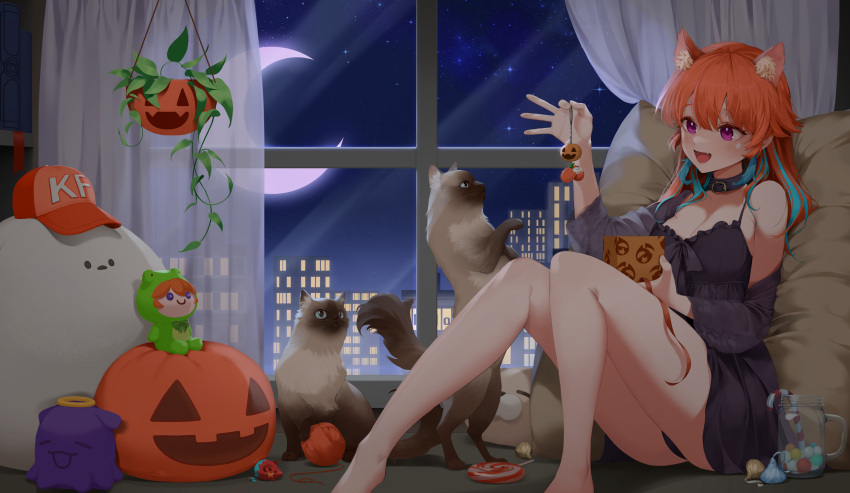 1girl absurdres animal_collar animal_ears bare_legs bare_shoulders barefoot black_dress breasts cat cat_ears cat_teaser chonkers_(takanashi_kiara) cityscape cleavage collar dress frogiwawa halloween highres hololive hololive_english indoors jack-o'-lantern kemonomimi_mode long_hair medium_breasts moon night night_sky orange_hair plant pumpkin purple_eyes short_dress siamese_cat sitting sky smoothie_(takanashi_kiara) takanashi_kiara takodachi_(ninomae_ina'nis) virtual_youtuber window wnsghks221