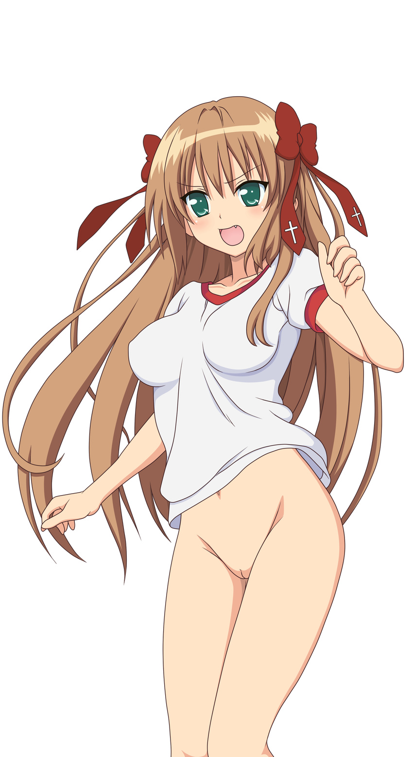 1girl absurdres blush brown_hair green_eyes highres legs long_hair mayoi_neko_overrun! nude_filter photoshop pussy serizawa_fumino solo thighs uncensored