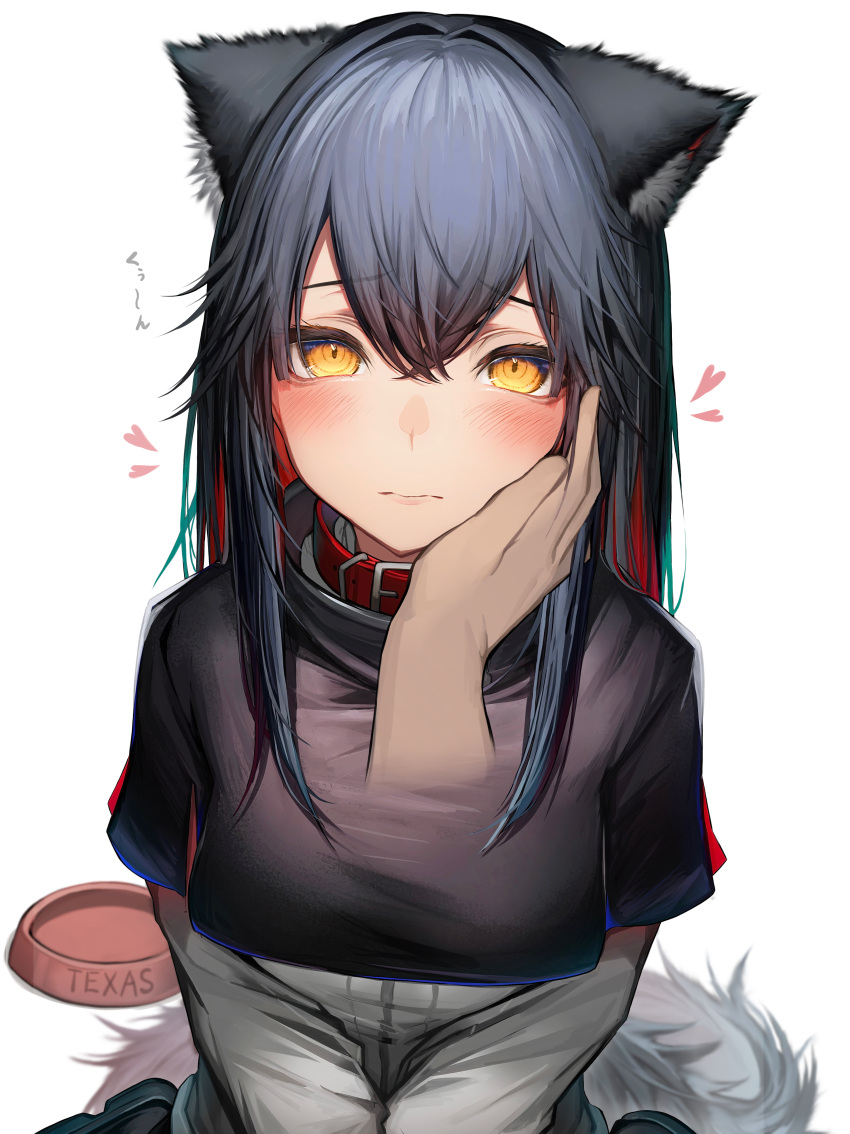 1girl absurdres animal_ears arknights bad_id bad_pixiv_id blush character_name closed_mouth disembodied_limb hair_between_eyes highres looking_at_viewer simple_background solo_focus tab_head tail texas_(arknights) white_background wolf_ears wolf_girl wolf_tail yellow_eyes
