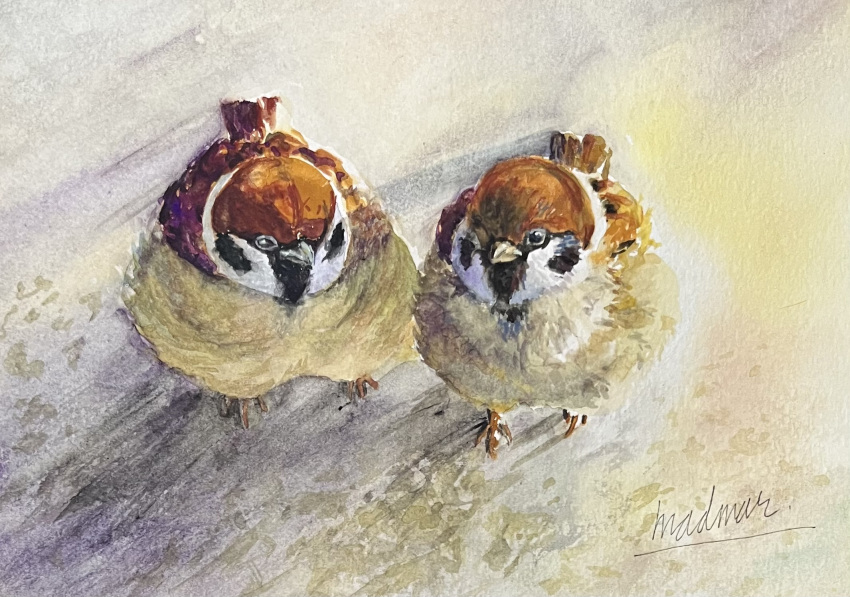 animal animal_focus bird bird_wings commentary eurasian_tree_sparrow feathered_wings feathers highres madmar no_humans original painting_(medium) sparrow traditional_media watercolor_(medium) wings