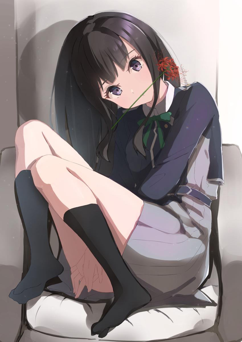 1girl absurdres bangs between_legs black_dress black_hair black_socks closed_mouth commentary_request dress feet flower flower_in_mouth full_body grey_dress hand_between_legs head_tilt highres honorikiti inoue_takina knees_up legs long_hair looking_at_viewer lycoris_recoil mouth_hold no_shoes pleated_dress purple_eyes red_flower socks solo spider_lily spread_toes toes two-tone_dress very_long_hair