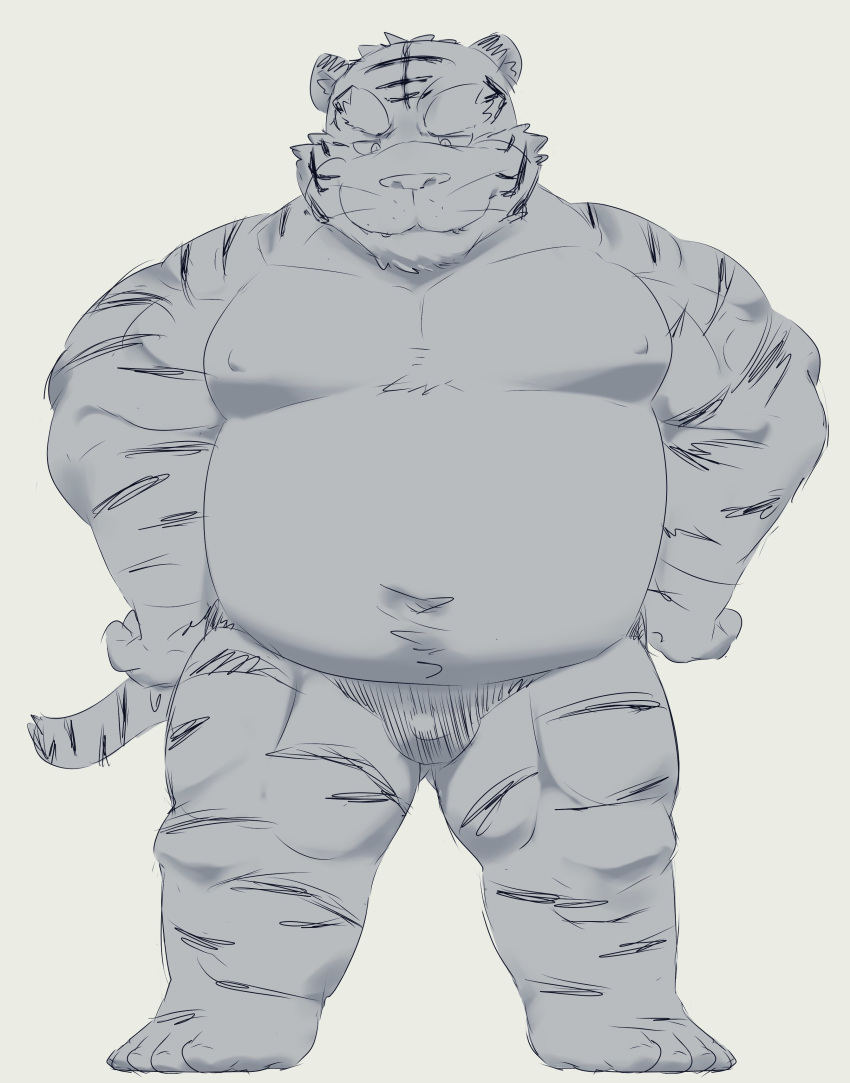 2023 absurd_res anthro belly big_belly bulge clothing felid hi_res kemono kipchin_2nd00 male mammal moobs nipples overweight overweight_male pantherine sketch solo tiger underwear