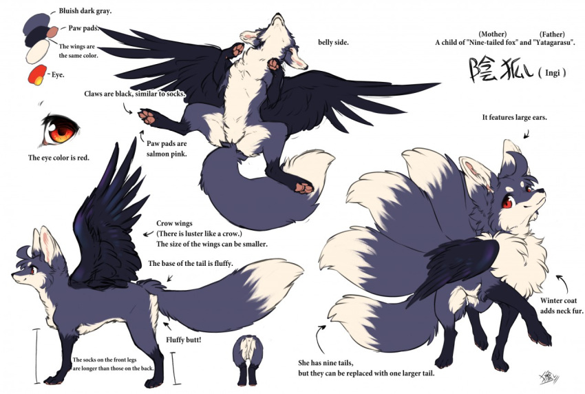 2020 anus canid canine chest_tuft dipstick_ears dipstick_tail english_text feathered_wings feathers female feral fluffy fox fur genitals grey_body grey_fur ingi ingi_(character) inner_ear_fluff kemono leg_markings lying mammal markings model_sheet multi_tail multicolored_ears multicolored_tail on_back pawpads pink_pawpads pussy red_eyes simple_background socks_(marking) solo standing tail tail_markings text tuft walking white_background white_body white_fur wings x_anus
