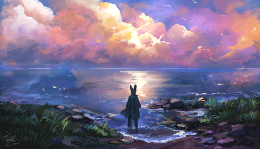 absurd_res ambiguous_gender anthro better_version_at_source cloak clothing cloud dr_rabbit_(tomtc) hi_res lagomorph leporid mammal outside rabbit sky tomtc water