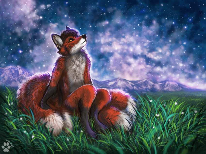 2023 anthro black_nose brown_hair canid canine detailed_background digital_media_(artwork) ear_piercing ear_ring flashw fox fur grass hair male mammal multi_tail night orange_body orange_fur outside piercing plant ring_piercing sky solo star starry_sky tail white_body white_fur