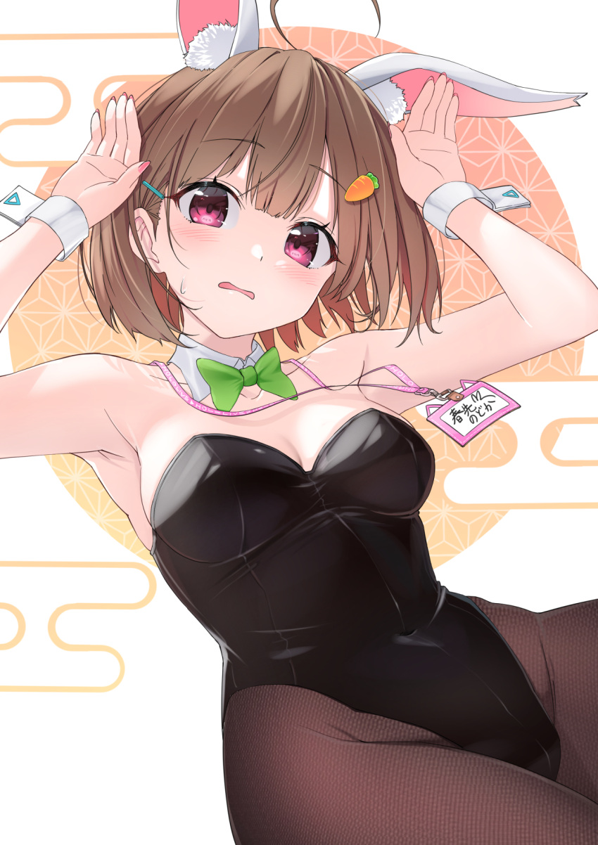 1girl alternate_costume armpits blush breasts brown_hair bunny_pose carrot_hair_ornament cleavage food-themed_hair_ornament hair_ornament hairclip harusaki_nodoka highres hololive id_card looking_at_viewer medium_breasts medium_hair motoraku new_year open_mouth pantyhose playboy_bunny purple_eyes simple_background solo virtual_youtuber white_background