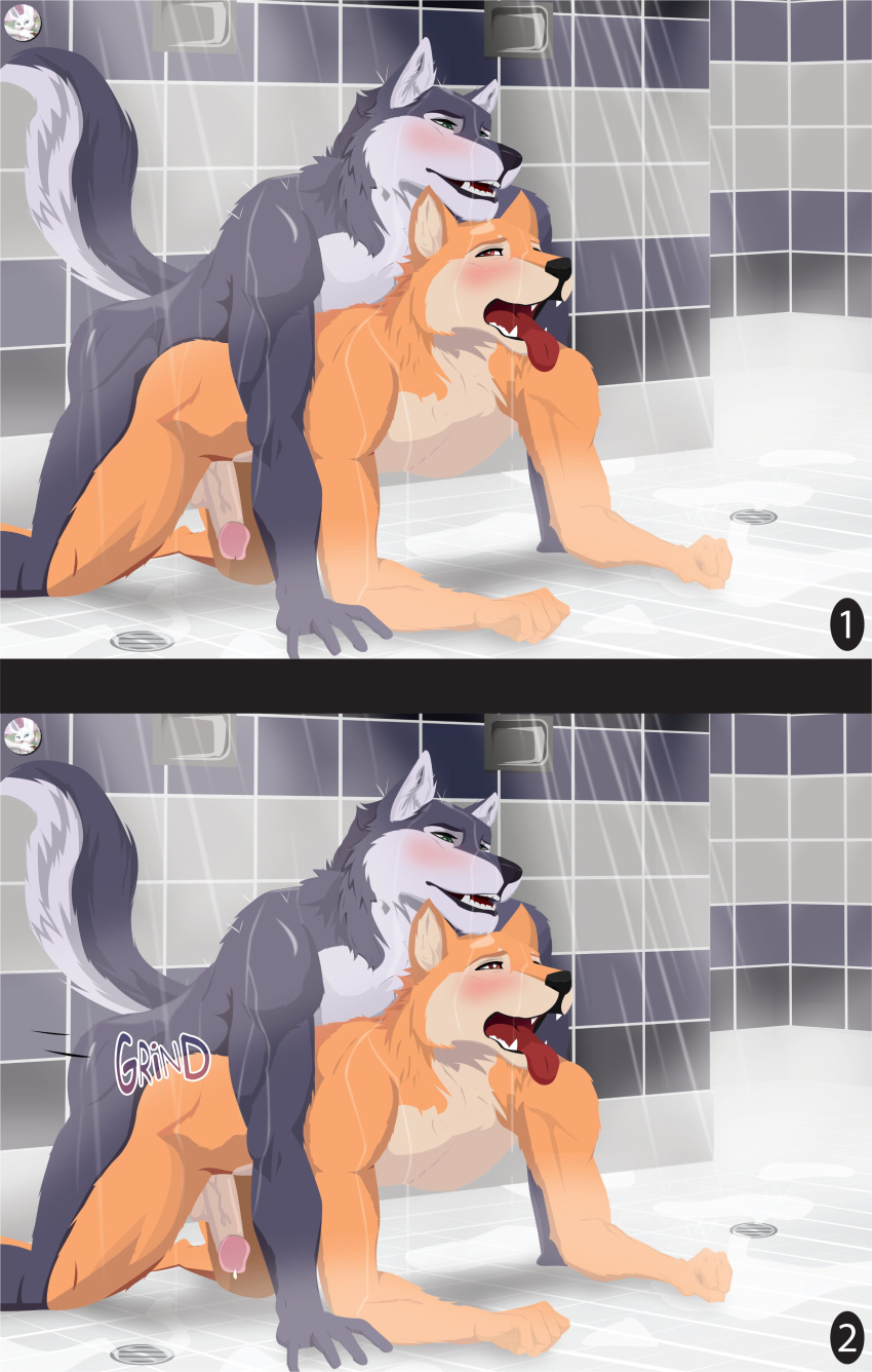 absurd_res anal anal_penetration anthro bodily_fluids breath canid canine canis comic_panel cum cum_drip doggystyle domestic_dog dripping duo elevatorvibes from_behind_position genital_fluids hi_res husky male male/male mammal muscular muscular_male nordic_sled_dog panting penetration sex shiba_inu shoichi_urata shower shower_sex siberian_husky spitz tennis_ace visual_novel yuuichi_michimiya