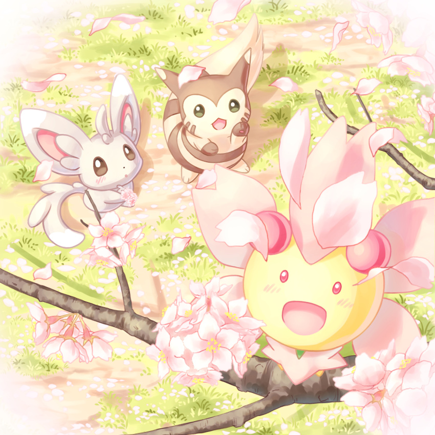 :d blush branch brown_eyes cherrim cherrim_(sunshine) cherry_blossoms commentary_request day falling_petals from_above furret grass highres minccino no_humans open_mouth outdoors petals pink_eyes pokemon pokemon_(creature) putto smile