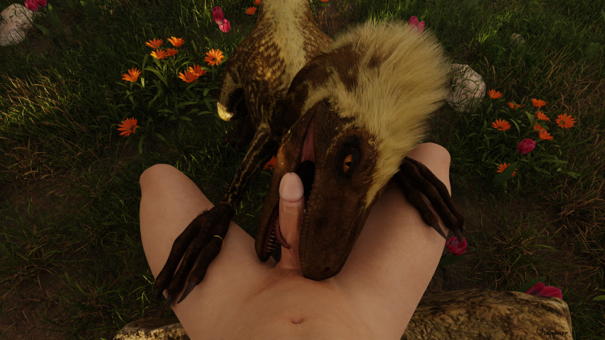 bestiality bestiality_marriage blender_(software) claws crouching deinonychus dinosaur dromaeosaurid duo feathers fellatio female feral first_person_view flower genitals hi_res human human_on_feral interspecies licking looking_at_viewer male male/female mammal meadow molly_(vulumar) nude oral paws_on_thighs penile penis penis_lick plant reptile ring scalie sex sitting teeth teeth_showing theropod tongue tongue_out vulumar