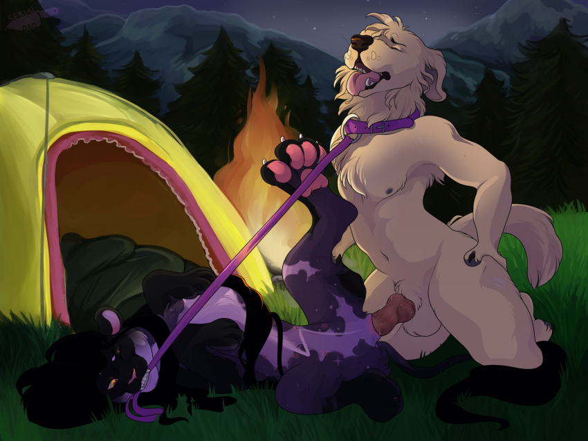 anthro anthro_on_feral bestiality camping felid feral feral_dom leash lion mammal pantherine serialdad