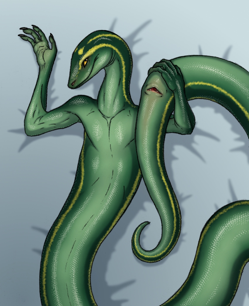 ambiguous_gender animal_genitalia anthro cloaca genitals green_body green_scales hand_on_stomach hi_res horizontal_cloaca looking_at_viewer lying on_back presenting presenting_cloaca ramul reptile scales scalie simple_background snake solo stripes yellow_eyes yellow_stripes