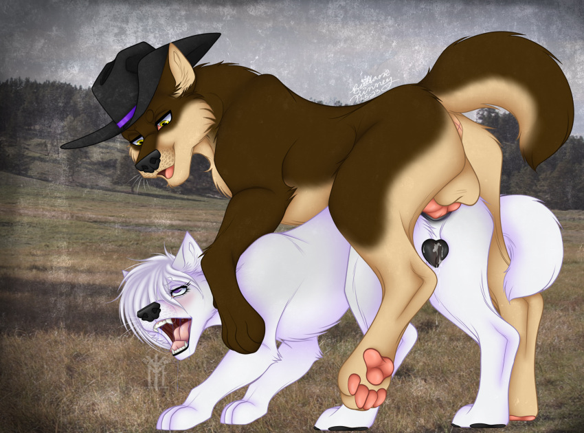 alpha_(disambiguation) anal and anthro anus canid canine canis clothing cowboy duo female feral hat headgear headwear hi_res knot lilly_(disambiguation) lily_(disambiguation) luckywolff lupis male male/female mammal omega thehuntingwolf western wolf