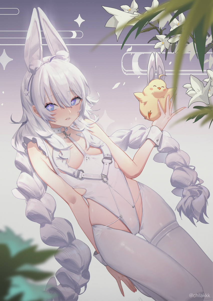 +_+ 1girl absurdres animal_ear_fluff animal_ears azur_lane bare_shoulders blue_eyes braid breasts chilakkk creature fake_animal_ears gradient gradient_background hairband highleg highleg_leotard highres holding le_malin_(azur_lane) le_malin_(listless_lapin)_(azur_lane) leotard long_hair looking_at_viewer official_alternate_costume parted_lips rabbit_ears skindentation sleeves_past_wrists small_breasts solo thigh_strap thighhighs twin_braids twitter_username very_long_hair white_hair white_hairband white_leotard white_thighhighs
