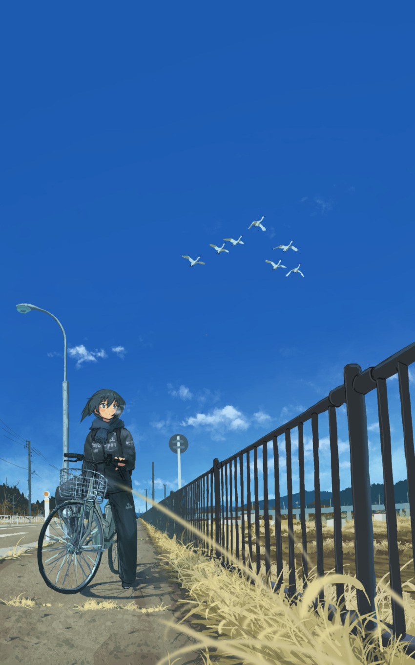 1girl bangs bicycle bicycle_basket bird black_eyes black_hair blue_sky blush breath cloud day dirt_road fence floating_hair flock from_below full_body goose grass ground_vehicle hair_between_eyes highres lamppost looking_up mountainous_horizon natsuno_kanasemi original outdoors power_lines riding riding_bicycle road road_sign scarf scenery shadow shoes short_hair sidelocks sign sky solo track_suit tree utility_pole