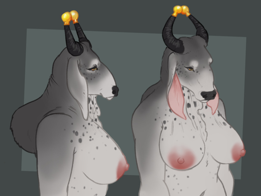 anthro black_nose bovid bovine brahman_cow cattle deermary dewlap_(anatomy) female gold_(metal) grey_body grey_skin horn horn_jewelry long_ears mammal markings mature_anthro mature_female multicolored_body navel nipples nude pink_ears pink_nipples solo spots spotted_markings two_tone_body white_body wrinkles yellow_eyes