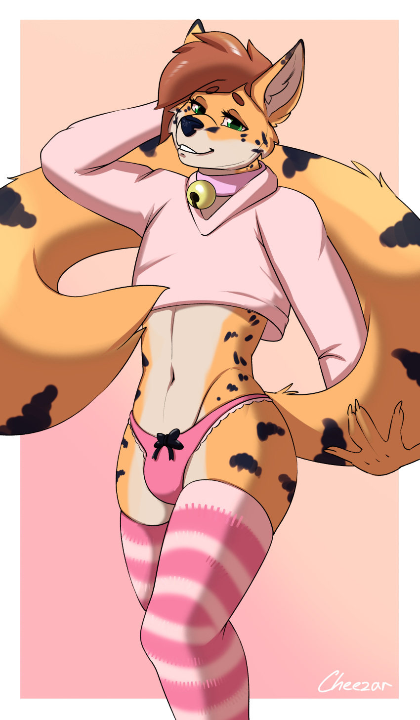 absurd_res anthro bell cheezar clothing collar felid feline fluffy fur girly hi_res highs hoodie legwear looking_at_viewer male male/male mammal panties presenting serval solo stokings submissive tail thigh_highs topwear underwear ych