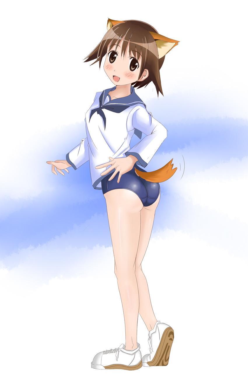 absurdres animal_ears brown_eyes brown_hair cat_ears highres looking_back miyafuji_yoshika neginuta no_socks sailor school_swimsuit short_hair solo strike_witches swimsuit swimsuit_under_clothes tail tail_wagging world_witches_series