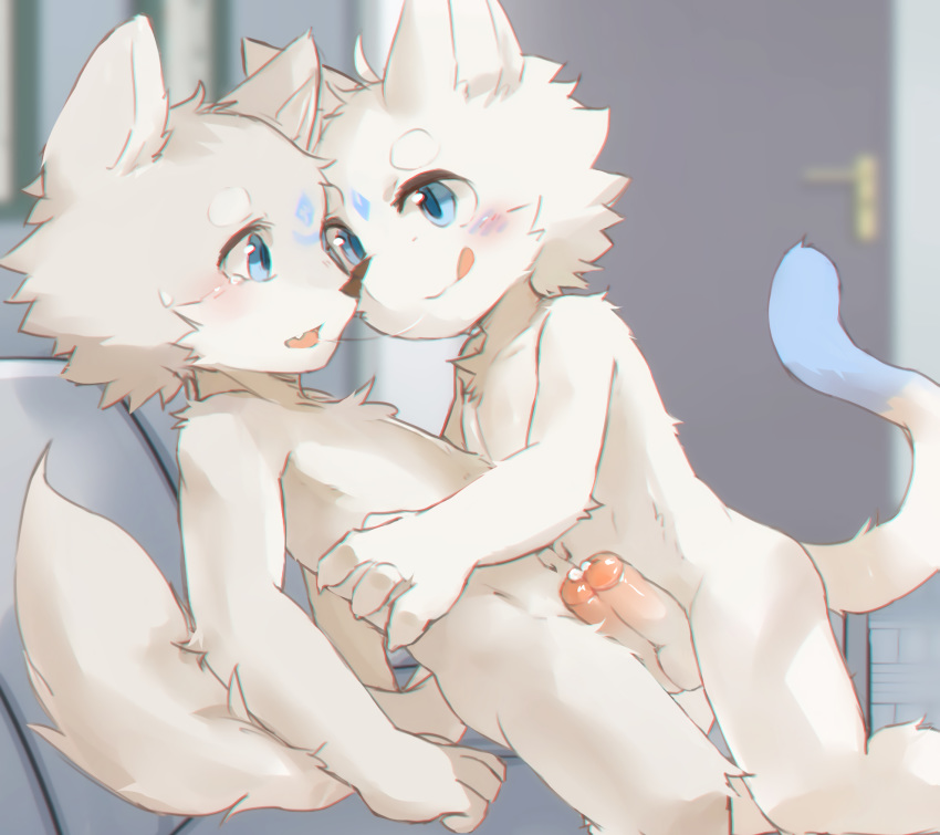 anthro balls blue_eyes blush canid canine claws cub duo embrace erection eye_contact frottage inside kissing kneeling male male/male mammal navel nekowuwu nude open_mouth penis precum saliva saliva_string sex sitting tears tongue tongue_out young