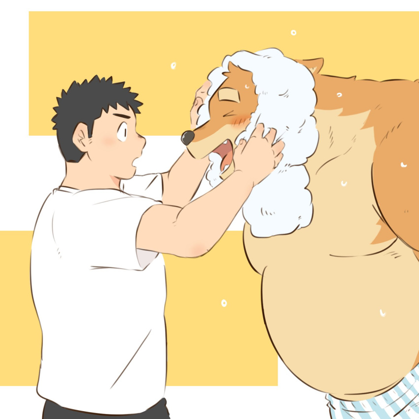 2023 anthro belly big_belly blush canid canine canis clothing domestic_dog duo eyes_closed hi_res human kemono male mammal moobs mtmnkmn125 overweight overweight_male shirt topwear towel underwear