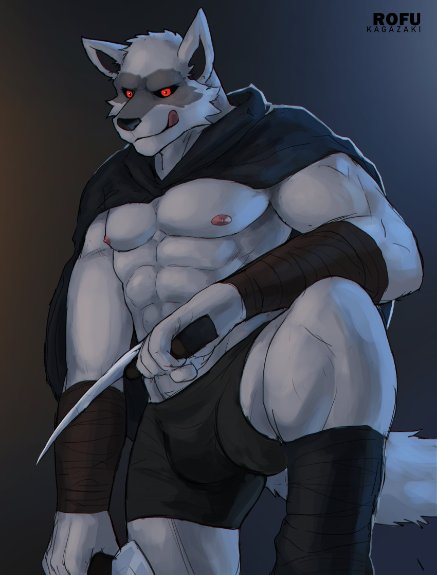 absurd_res anthro black_sclera bulge canid canine canis cloak clothing death_(puss_in_boots) dreamworks fur hi_res holding_object holding_weapon looking_at_viewer male mammal melee_weapon muscular muscular_anthro muscular_male puss_in_boots_(film) puss_in_boots_the_last_wish red_eyes rofu_kagazaki solo underwear weapon wolf