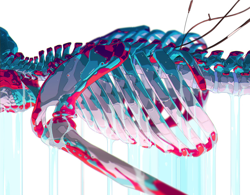 1other bone colorful dripping from_side highres lying original ribs simple_background skeleton solo spine teru_by_m water white_background