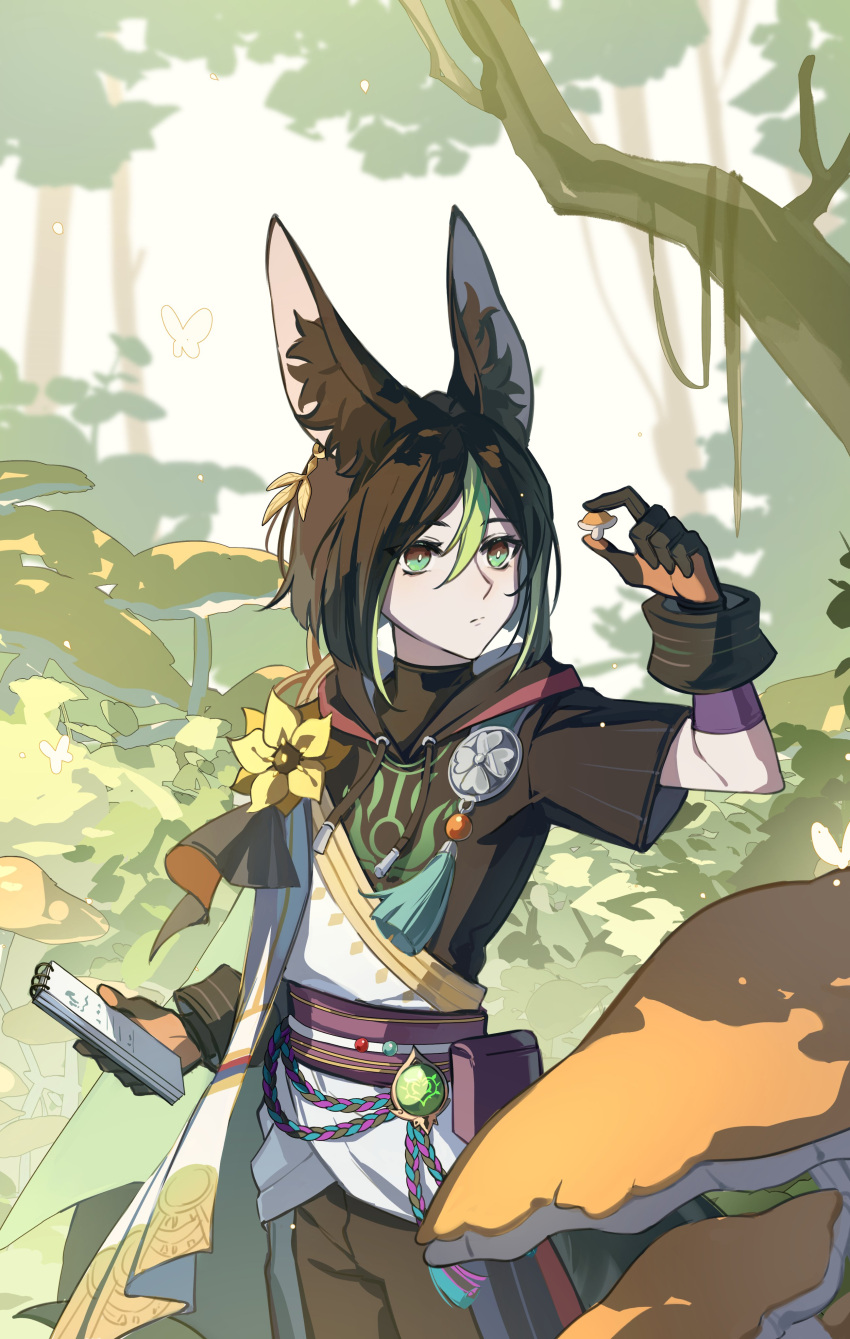 1boy absurdres animal_ears bishounen black_gloves black_hair cowboy_shot ebf7l fox_boy fox_ears fox_tail genshin_impact gloves green_eyes green_hair highres male_focus multicolored_hair mushroom notes outdoors short_hair solo streaked_hair tail