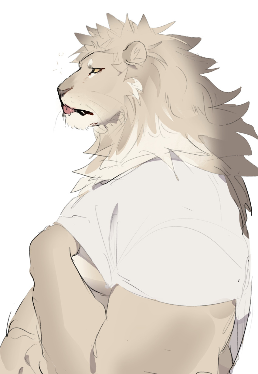 absurd_res anthro clothing facial_hair felid goatee hi_res l0sskim lion male mammal muscular pantherine scratching scratching_chest shirt simple_background solo t-shirt tired tongue tongue_out topwear white_background white_clothing white_shirt white_topwear