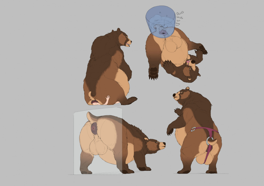 abdominal_bulge aetherxov against_surface ambiguous_gender anus ass_on_glass balls bear bestiality big_balls bloated brown_bear butt chubby_belly chubby_feral chubby_male clothed clothed_feral clothing dominant dominant_feral duo enema facesitting feral feral_on_top genitals glass grizzly_bear hair hi_res human human_on_feral interspecies kuruk_(character) lingerie lingerie_on_feral male male/ambiguous mammal mane mane_hair on_glass panties panties_on_feral pawpads paws puffy_anus size_difference slightly_chubby submissive submissive_human underwear ursine water_tank