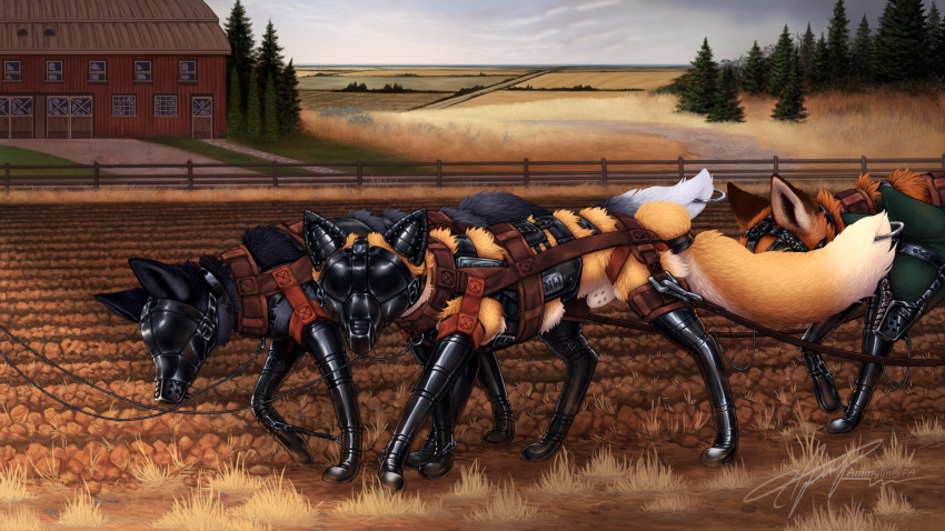 bdsm bondage bound canid canine farming fox harness hi_res latex leather mammal ploughing tack working