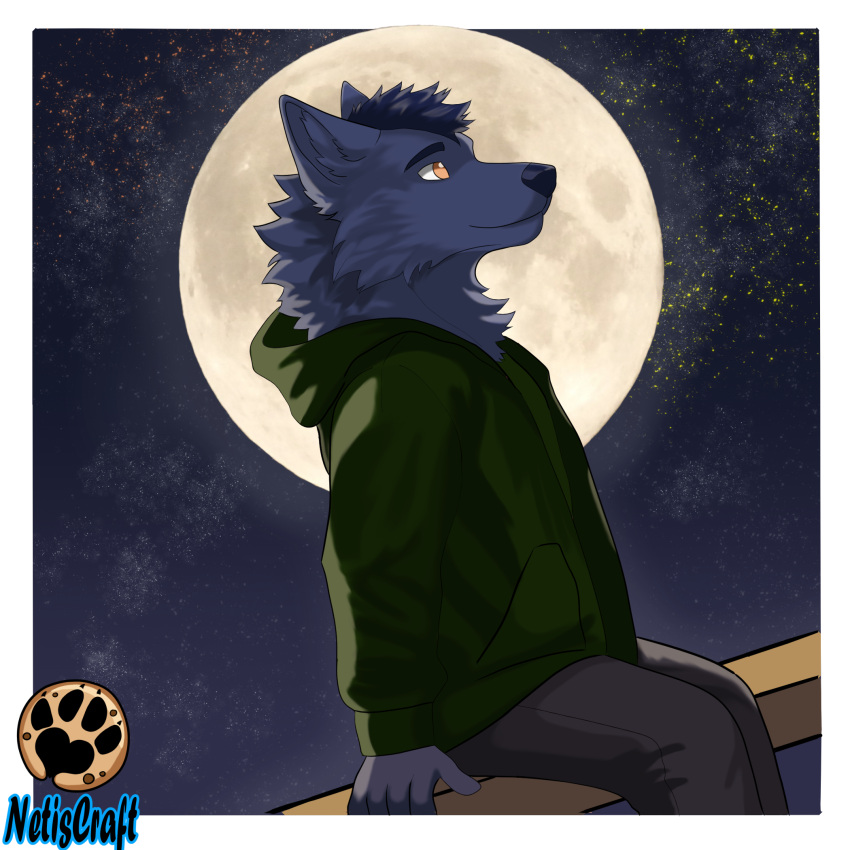 1:1 anthro blue_body blue_fur blue_hair bottomwear canid canine canis clothing fur green_clothing green_hoodie green_topwear hair hi_res hoodie light looking_up male mammal moon moonlight netiscraft orange_eyes pants sitting sky solo star topwear wolf wood