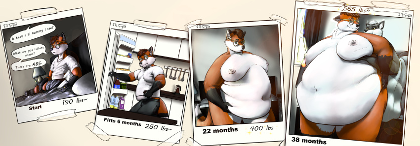 2021 absurd_res anthro aru belly_grab brown_hair canid canine canis coyote dipstick_tail embarrassed eyewear fox gainer glasses hair hi_res in_denial leon_(doctor_fox) male male/male mammal markings moobs navel nipples obese obese_anthro obese_male overweight overweight_anthro overweight_male polaroid_photo_on_wall red_fox sequence solo tail tail_markings weight_gain wide_hips