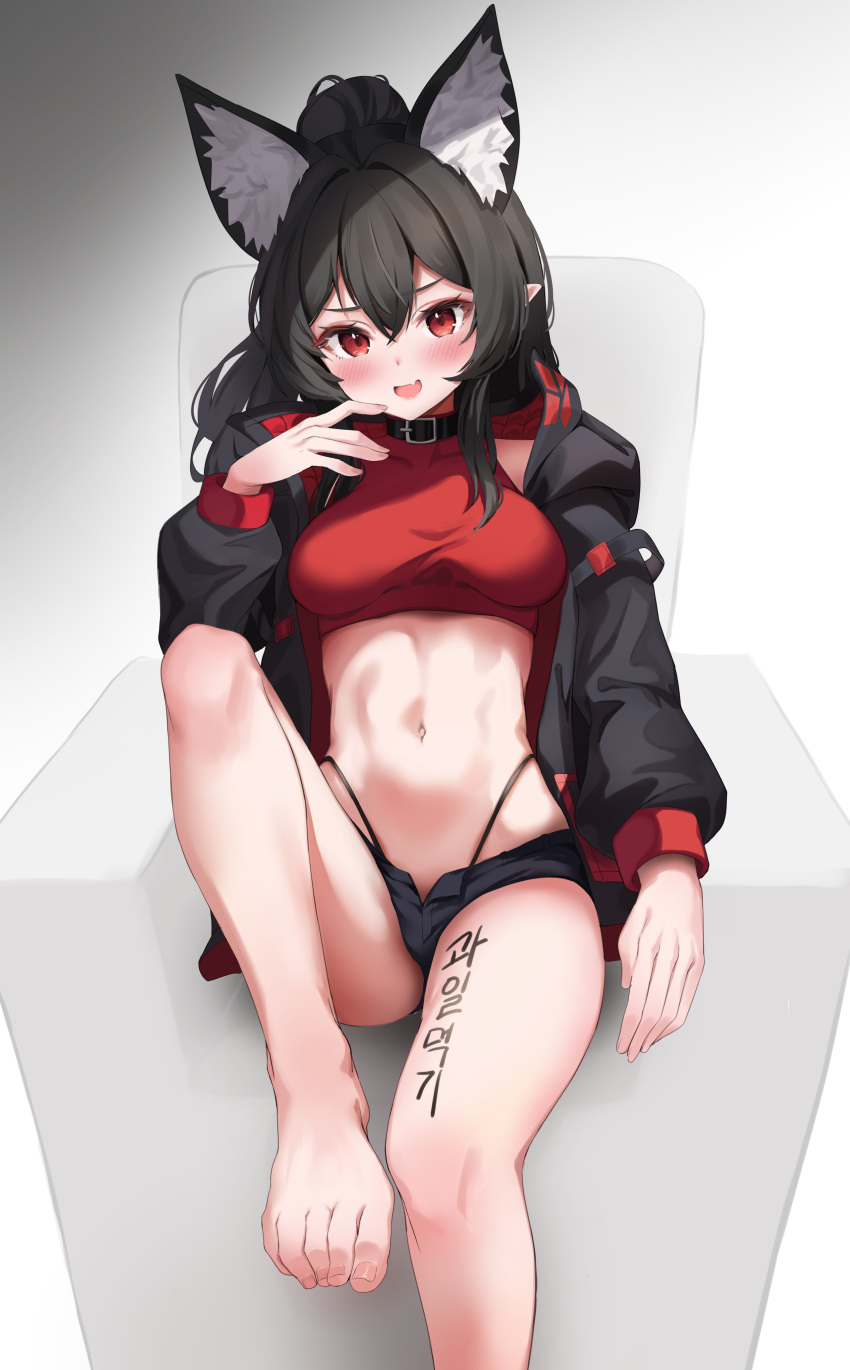 1girl :d absurdres animal_ear_fluff animal_ears bare_legs barefoot black_choker black_hair black_jacket black_panties black_shorts breasts chair choker commission crop_top extra_ears fang feet hand_up highleg highleg_panties highres jacket leg_up long_hair long_sleeves looking_at_viewer medium_breasts micro_shorts midriff navel open_clothes open_fly open_jacket open_mouth original panties pharamacom podo_(hrodvitnir) pointy_ears ponytail red_eyes red_shirt second-party_source shirt shorts sitting sleeveless sleeveless_shirt smile smug solo stomach string_panties thighs toes underwear wolf_ears