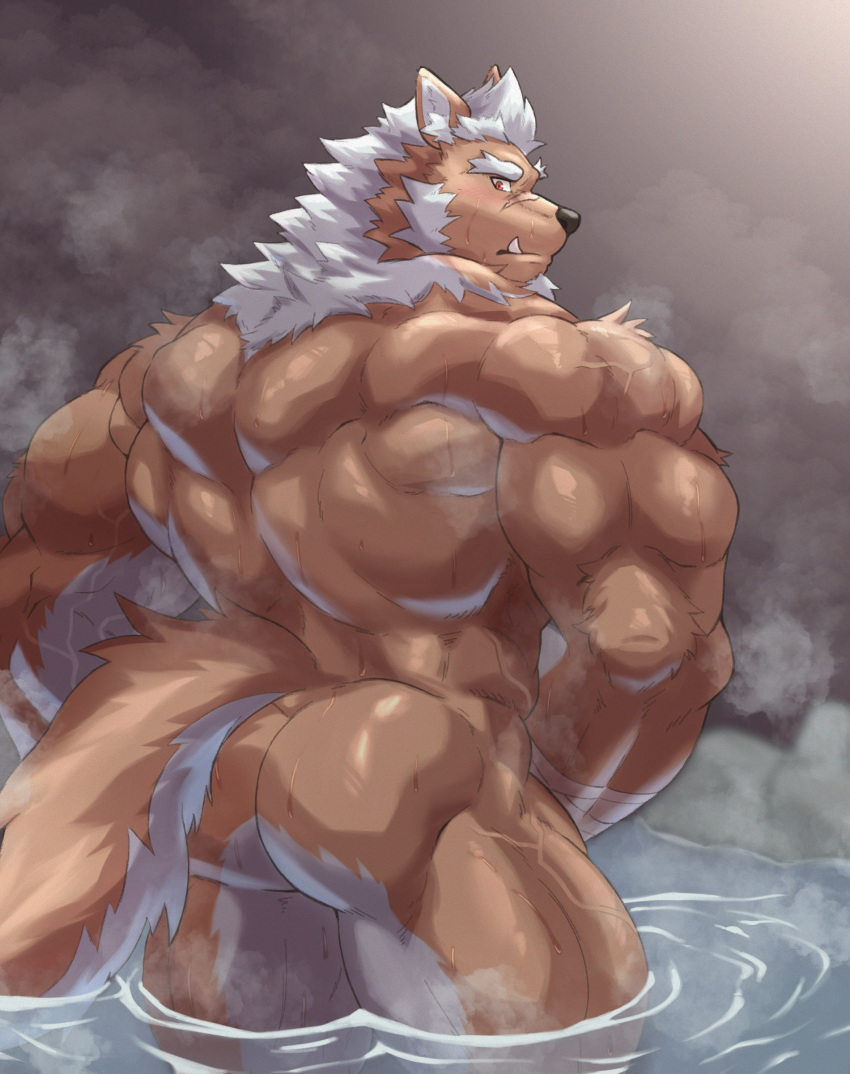 absurd_res anthro back_muscles bathing brown_body brown_fur butt canid canine canis fur hi_res hot_spring lifewonders male mammal marchosias_(tas) muscular muscular_anthro muscular_male nude partially_submerged scar solo tokyo_afterschool_summoners tusks water wolf znoneikaga