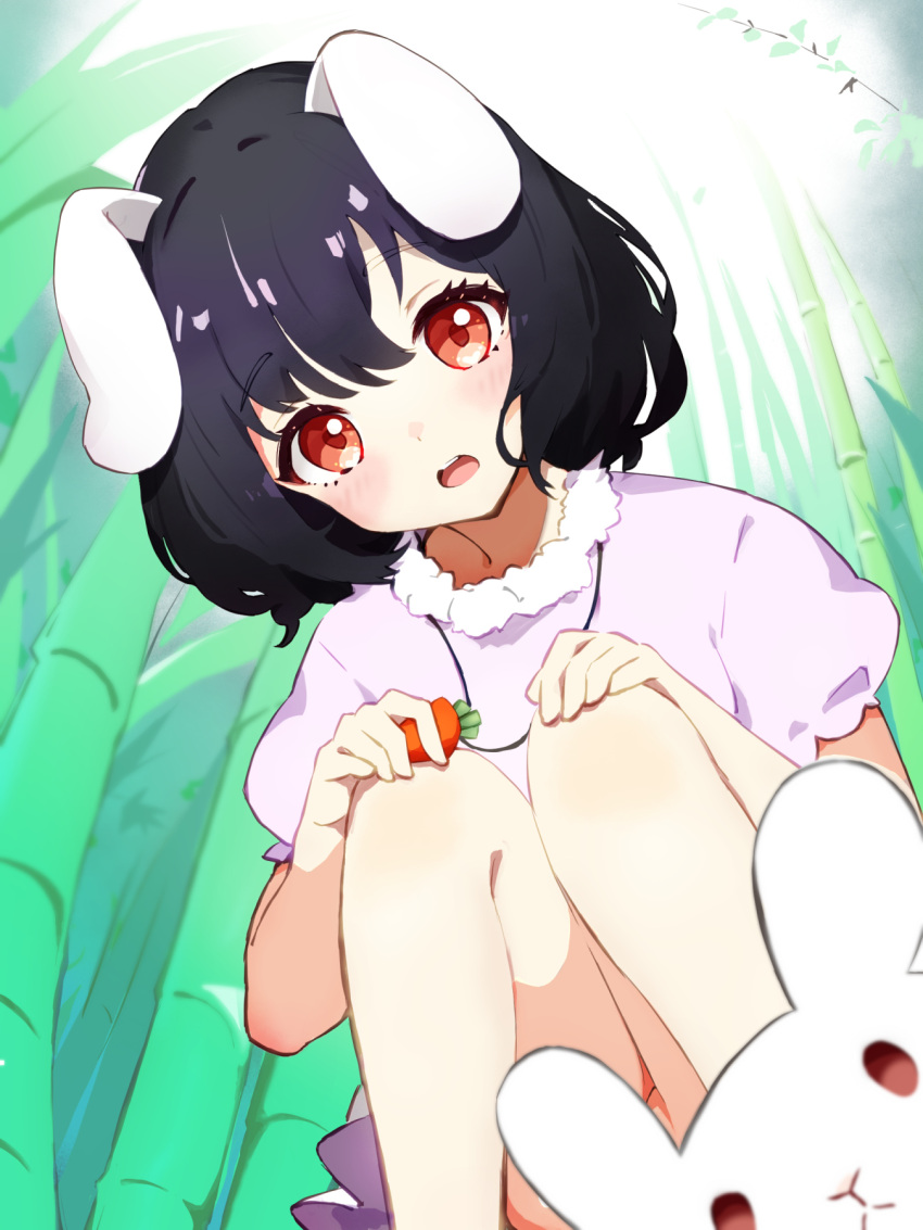 1girl animal_ears bamboo bamboo_forest black_hair carrot_necklace chikuzen1996 crossed_bangs dress floppy_ears forest frilled_sleeves frills from_below hands_on_own_knees highres holding holding_jewelry holding_necklace inaba_mob_(touhou) inaba_tewi jewelry looking_at_viewer medium_hair nature necklace open_mouth outdoors pink_dress puffy_short_sleeves puffy_sleeves rabbit rabbit_ears rabbit_girl red_eyes short_sleeves sidelocks squatting sunlight teeth touhou upper_teeth_only wavy_hair